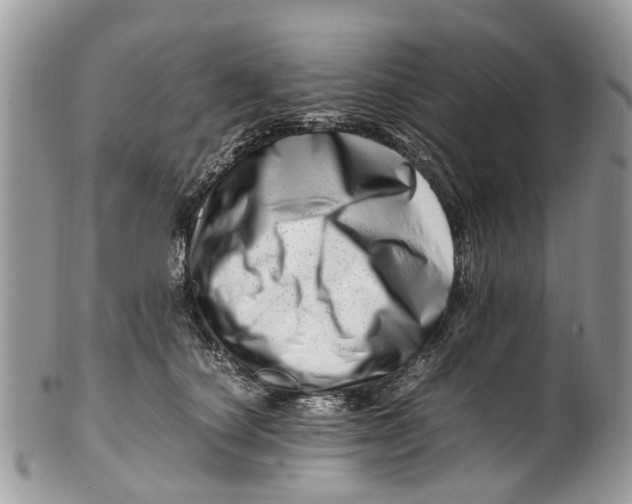 X0000101170660200807251134