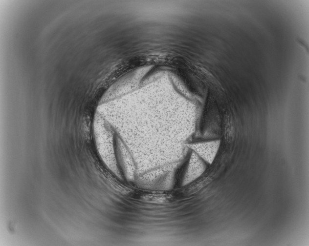 X0000101170661200807251134