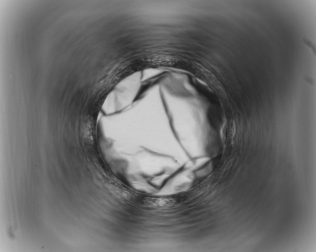 X0000101170663200807251134