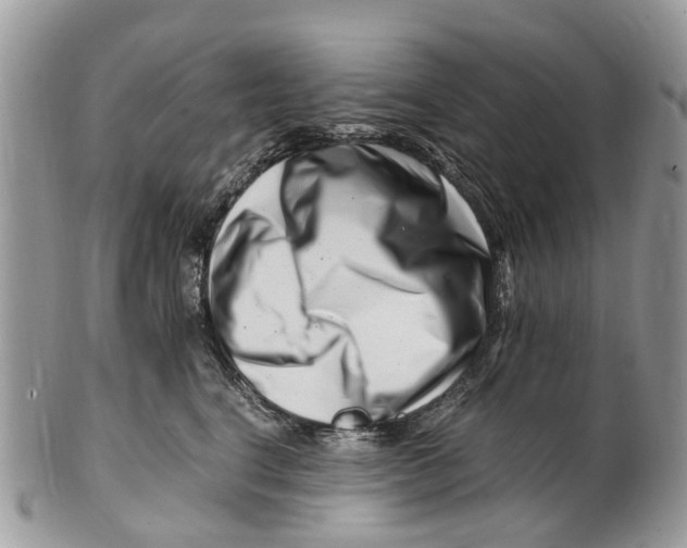 X0000101170664200807251134