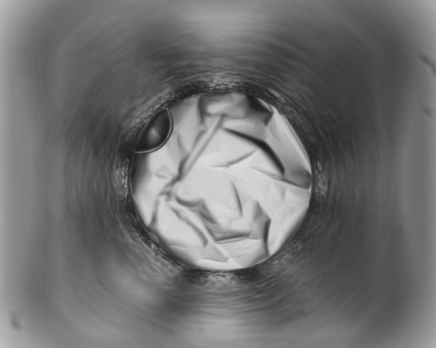 X0000101170666200807251134