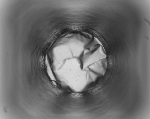 X0000101170667200807251134