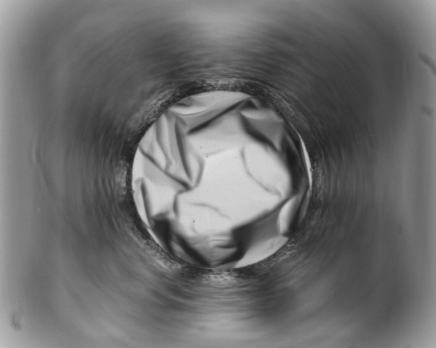 X0000101170668200807251134