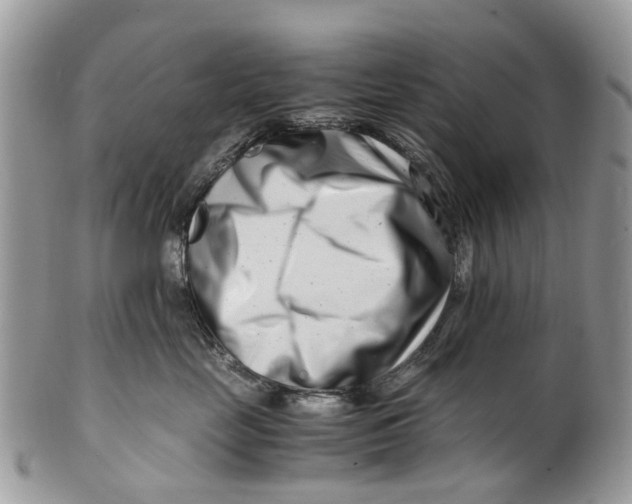 X0000101170669200807251134