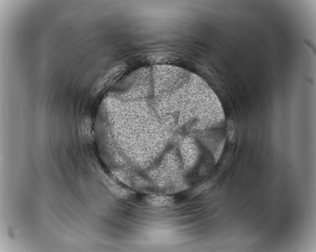 X0000101170670200807251134