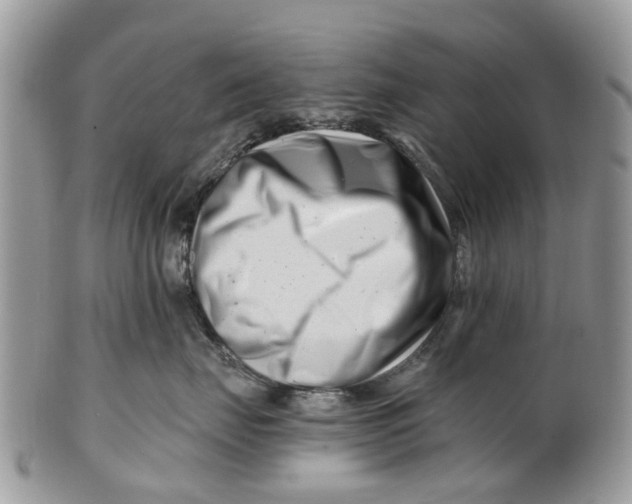 X0000101170671200807251134