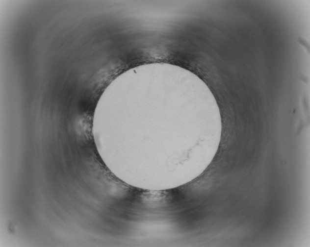 X0000101170672200807251134