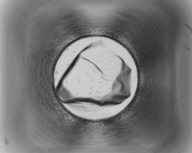 X0000101170673200807251133