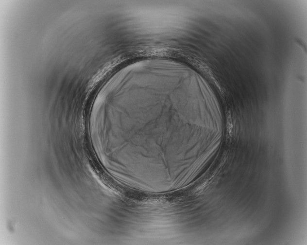 X0000101170674200807251133