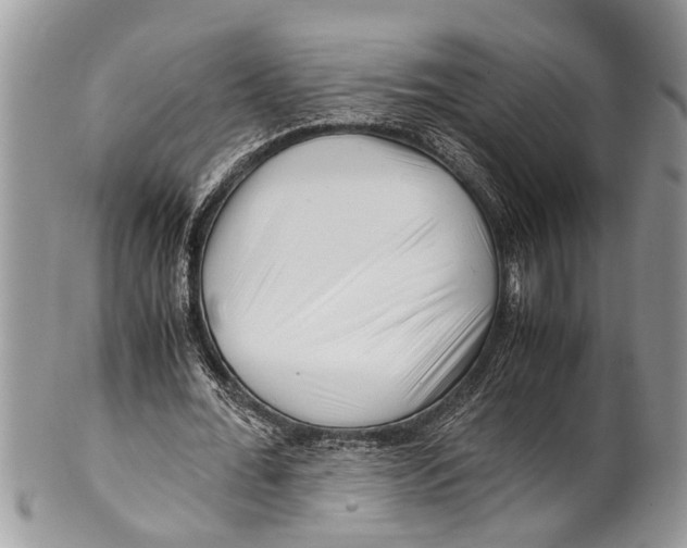 X0000101170676200807251133