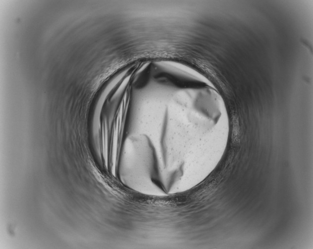 X0000101170677200807251133