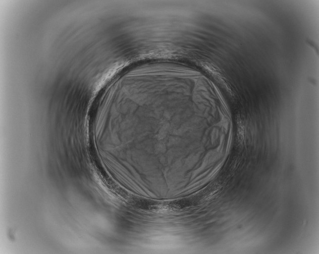 X0000101170678200807251133