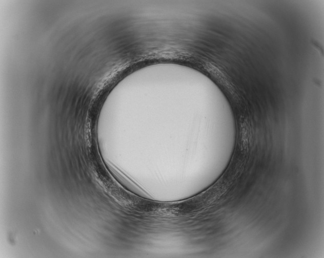 X0000101170680200807251133