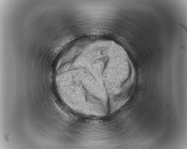 X0000101170683200807251133