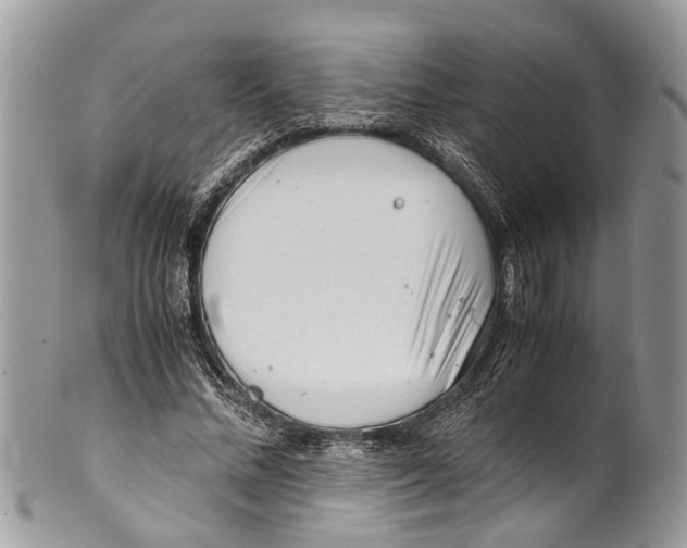 X0000101170684200807251133