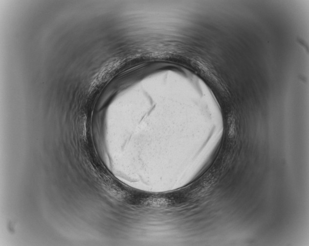 X0000101170685200807251133