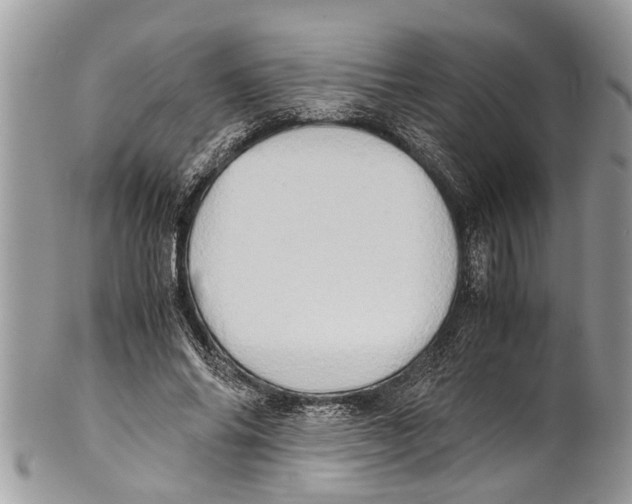 X0000101170686200807251133