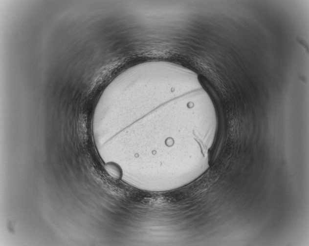 X0000101170688200807251133