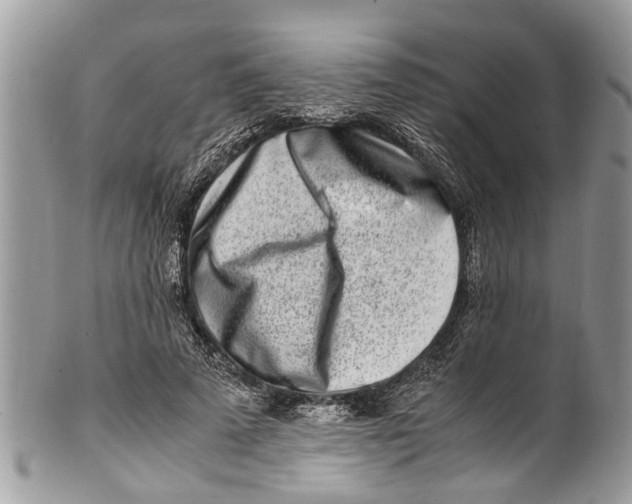 X0000101170689200807251133