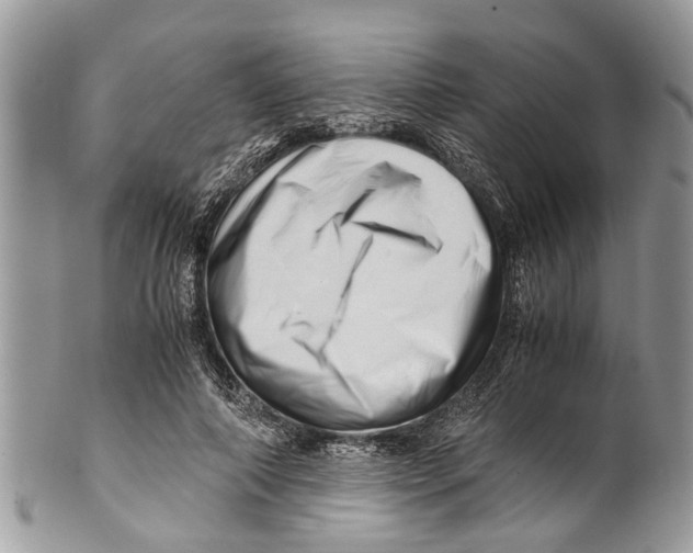 X0000101170690200807251133