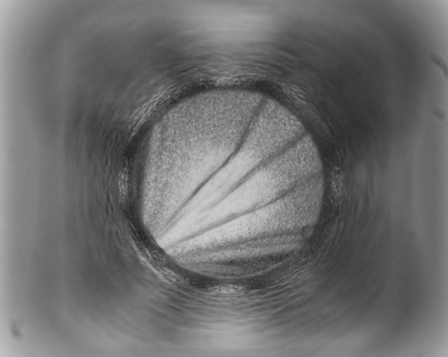 X0000101170691200807251133