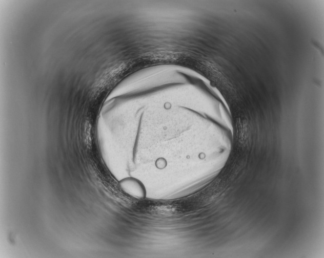 X0000101170692200807251133