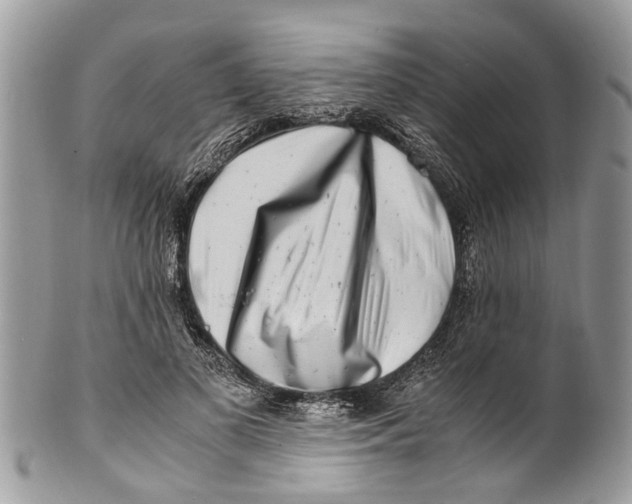 X0000101170693200807251133