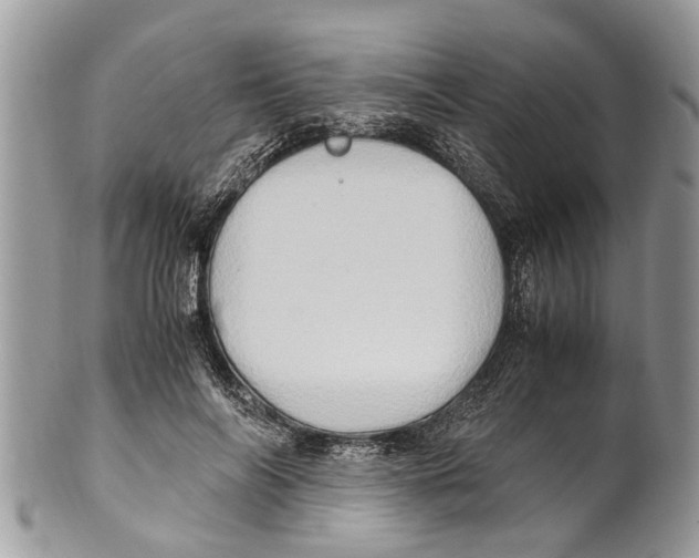X0000101170694200807251133