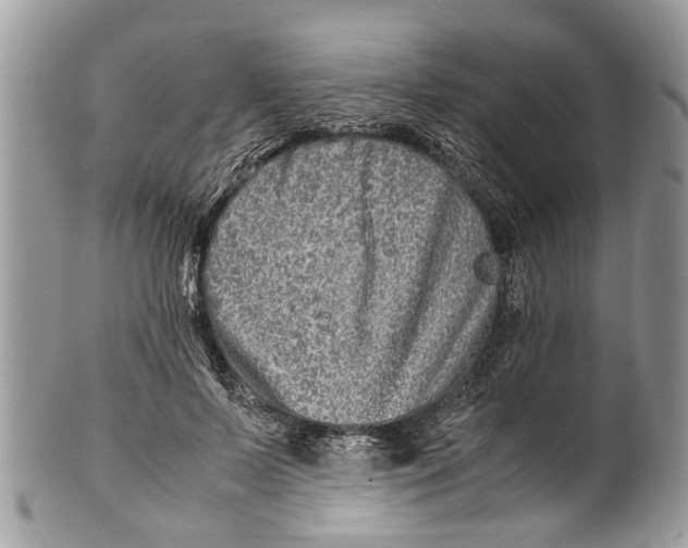 X0000101170695200807251133
