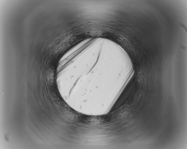 X0000101170697200807251133