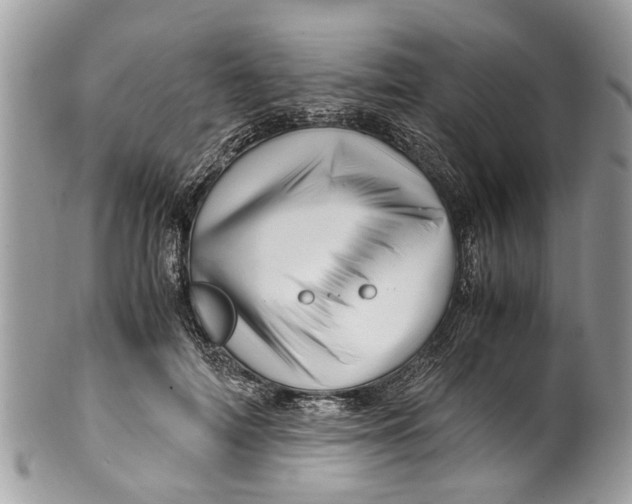 X0000101170698200807251133