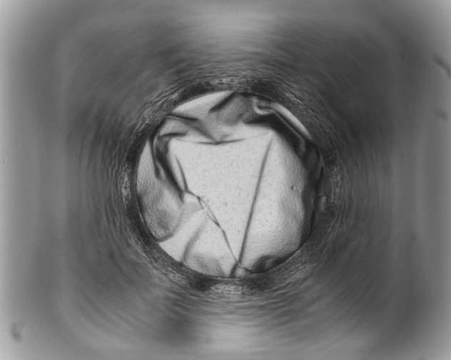X0000101170699200807251133