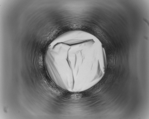 X0000101170700200807251133