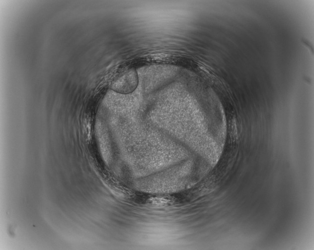 X0000101170703200807251133