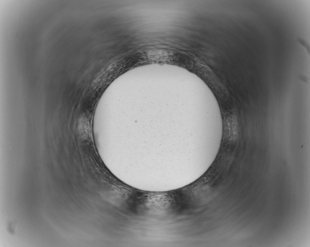 X0000101170705200807251133