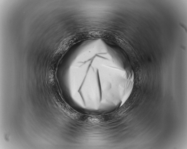 X0000101170706200807251133