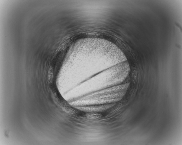 X0000101170707200807251133