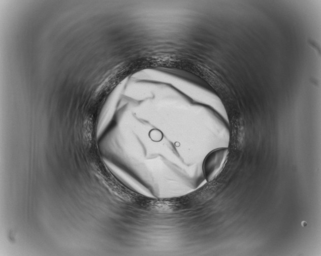 X0000101170710200807251133