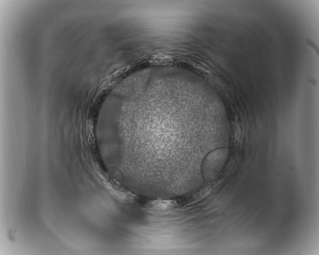 X0000101170711200807251133