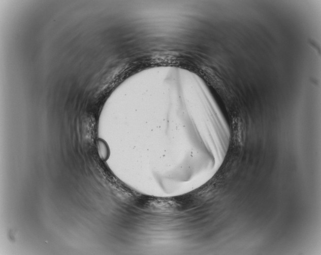 X0000101170712200807251133