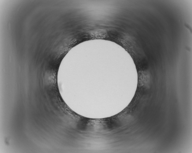 X0000101170713200807251133