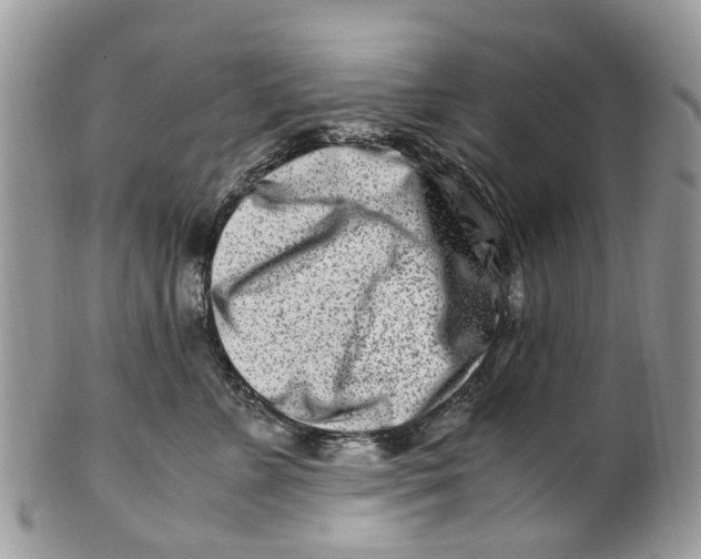 X0000101170715200807251133