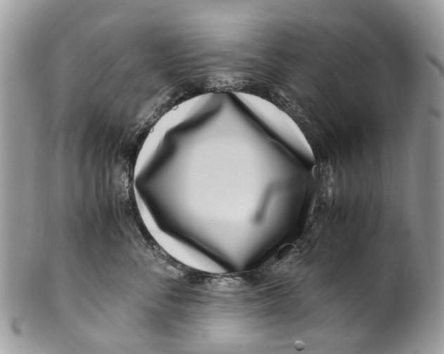 X0000101170716200807251132