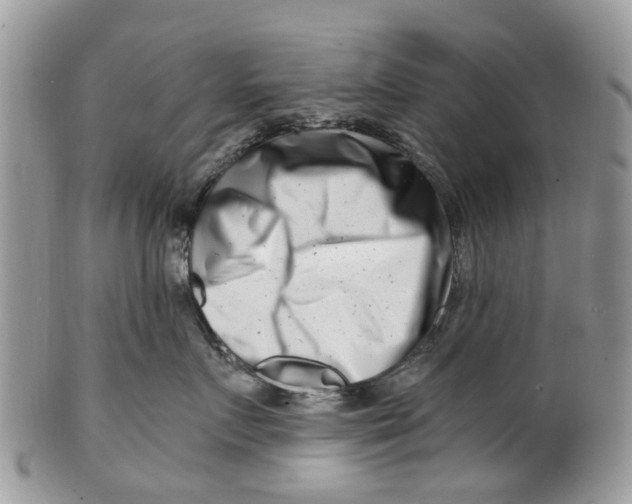 X0000101170719200807251132