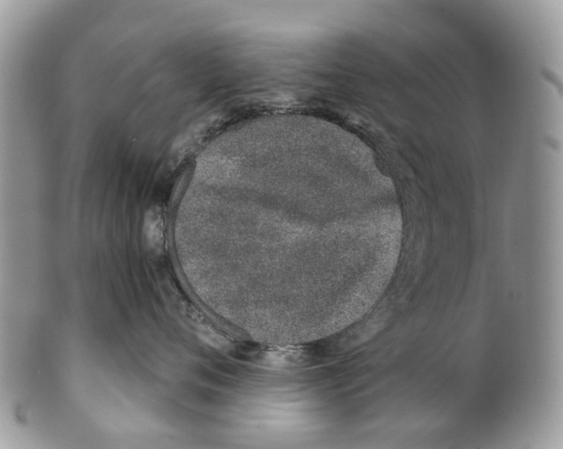 X0000101170720200807251132