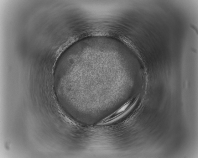 X0000101170721200807251132