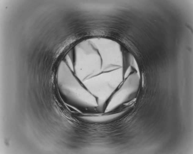 X0000101170723200807251132