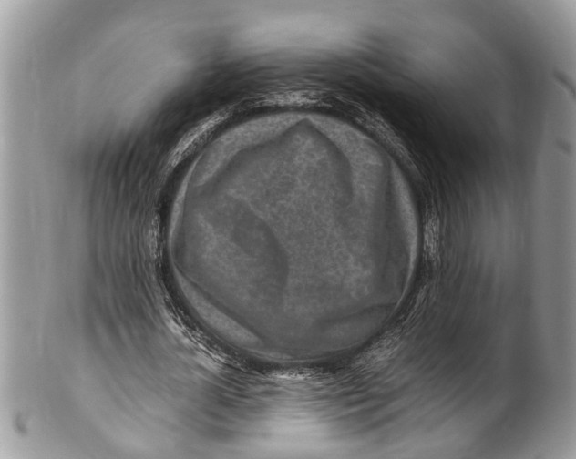 X0000101170724200807251132