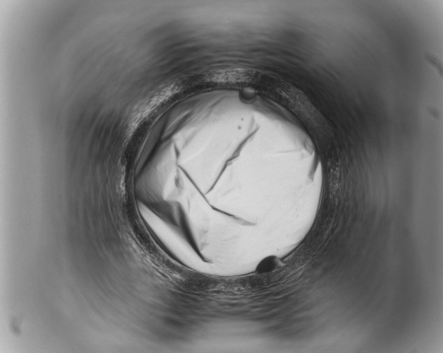 X0000101170727200807251132