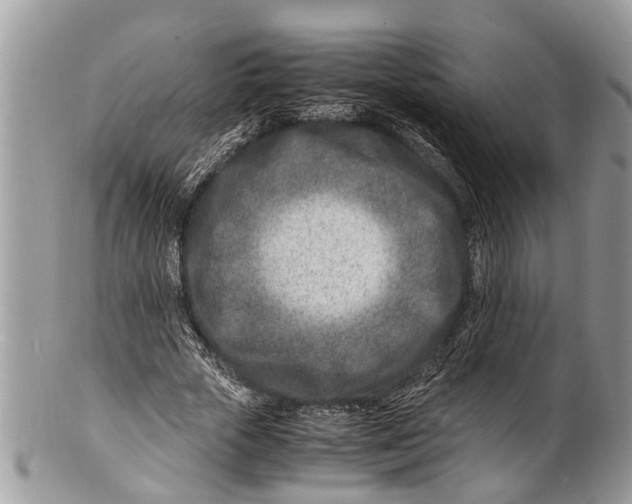 X0000101170729200807251132